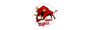 השור הזועם